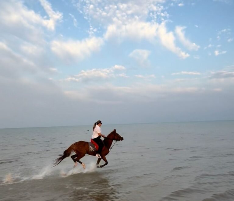 Horse galloping through shallow