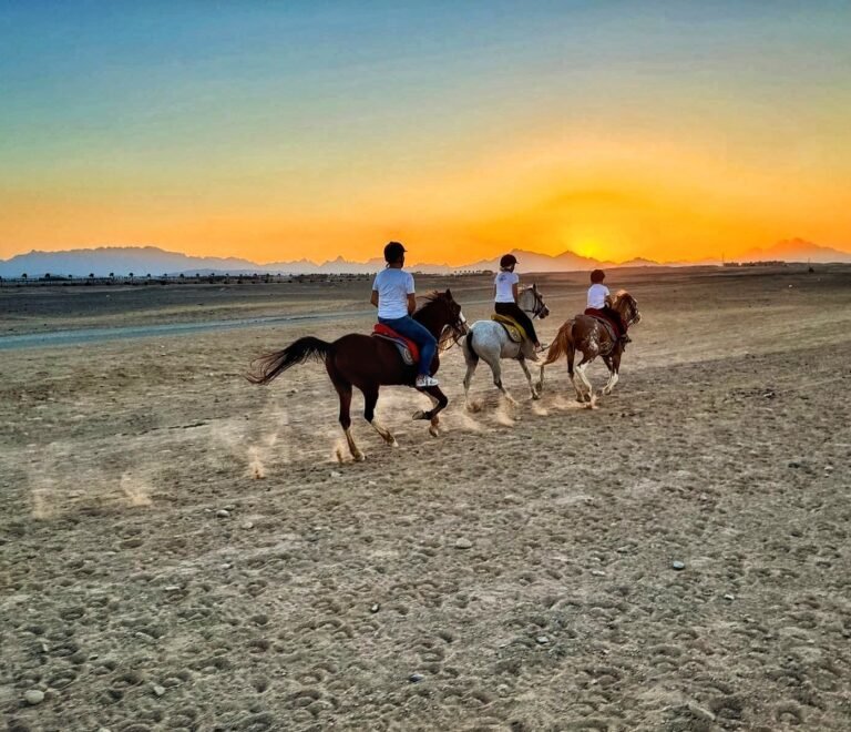 Horseback riding in the desert 