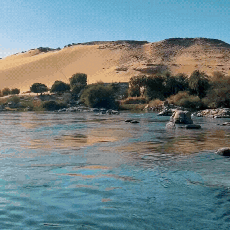 Aswan Private Day Tour