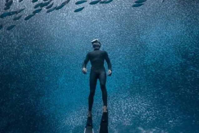 Diving for Certified Divers