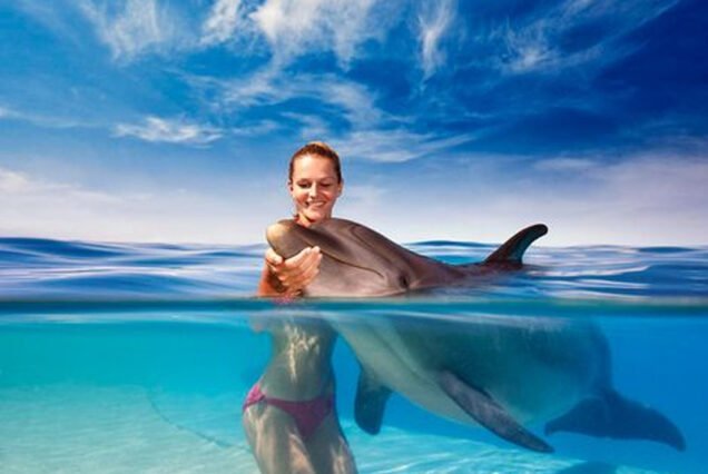 Dolphin Makadi World