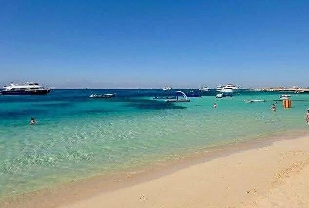 Private Speedboat Including: Orange Bay, Dolphin House and White Island