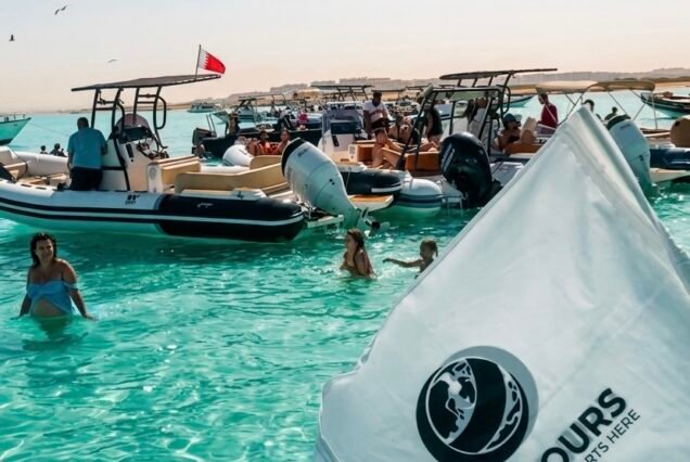 Private Speedboat Including: Dolphin House and White Island