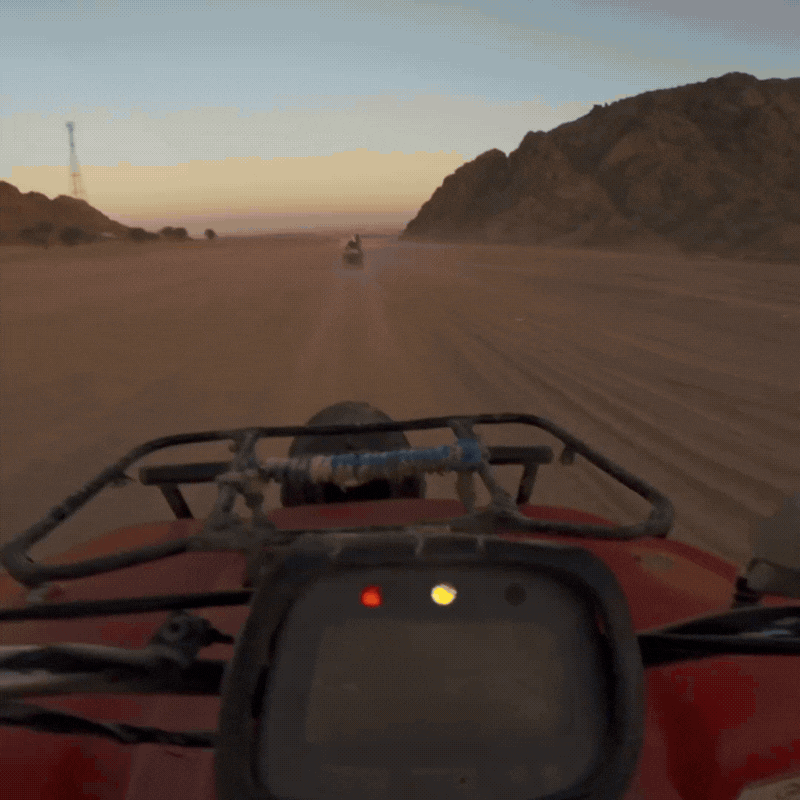 Private Quad Super Safari